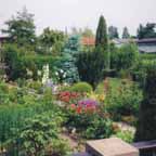 Naturgrten 08