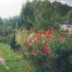 Naturgrten 10