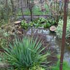 Wasser 02