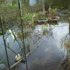 Wasser 04