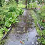 Wasser 07